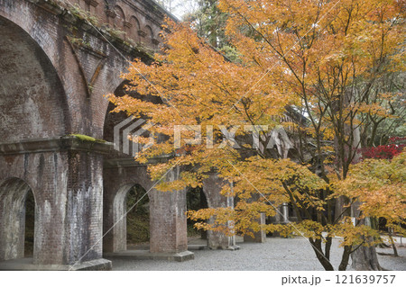 水路閣と紅葉のマリアージュ20 121639757