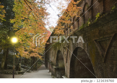 水路閣と紅葉のマリアージュ23 121639760