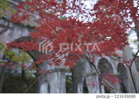 水路閣と真っ赤なモミジ10 水路閣と真っ赤なモミジ10 121639890