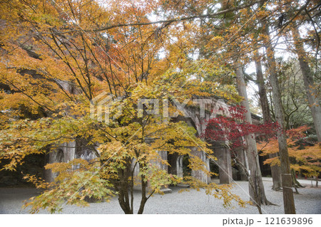 水路閣と紅葉のマリアージュ16 水路閣と紅葉のマリアージュ16 121639896