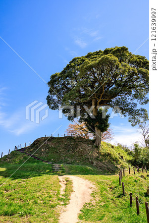 〈島根県〉月山富田城　本丸跡に続く道 121639997