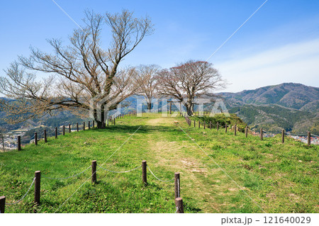 〈島根県〉月山富田城　三ノ丸跡の鳥居 121640029