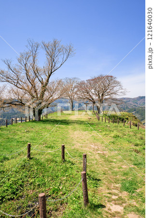 〈島根県〉月山富田城　三ノ丸跡の鳥居 121640030