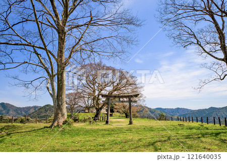 〈島根県〉月山富田城　三ノ丸跡の鳥居 121640035