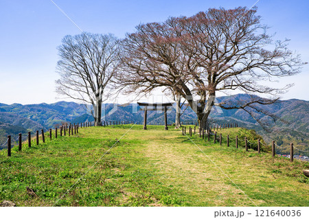 〈島根県〉月山富田城　三ノ丸跡の鳥居 121640036