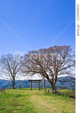 〈島根県〉月山富田城　三ノ丸跡の鳥居 121640037