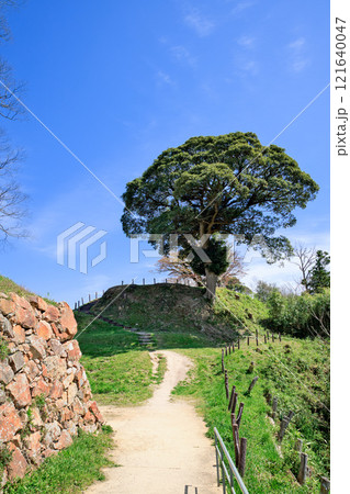〈島根県〉月山富田城　本丸跡に続く道 121640047