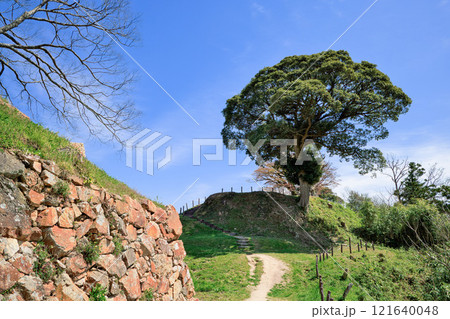 〈島根県〉月山富田城　本丸跡に続く道 121640048