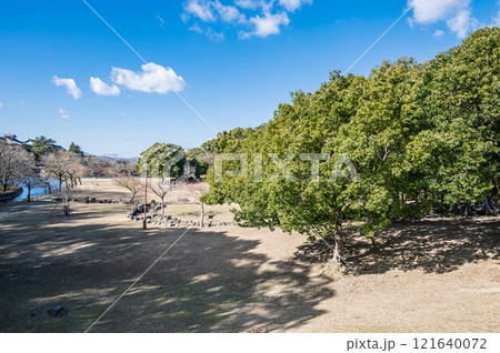 奈良公園荒池園地風景 121640072