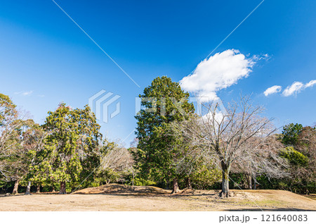 奈良公園飛火野園地 奈良公園飛火野園地 121640083
