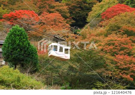 吉野山　下千本の紅葉とロープウェイ 121640476