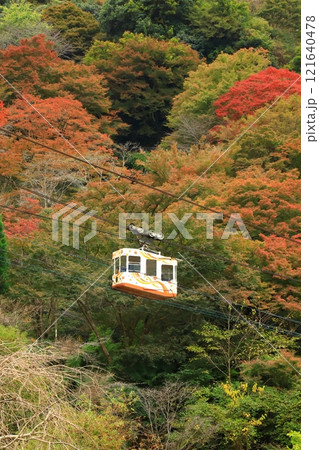 吉野山　下千本の紅葉とロープウェイ 121640478