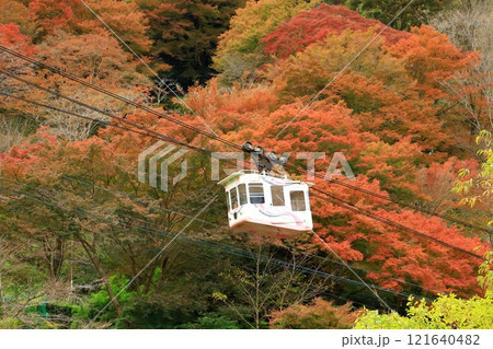 吉野山　下千本の紅葉とロープウェイ 121640482