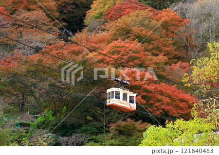 吉野山　下千本の紅葉とロープウェイ 121640483