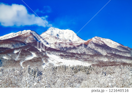 冬の晴れた日の妙高高原いもり池から見た妙高山  (妙高市) 121640516