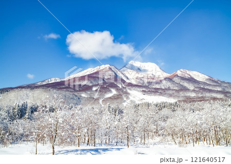 冬の晴れた日の妙高高原いもり池から見た妙高山  (妙高市) 121640517