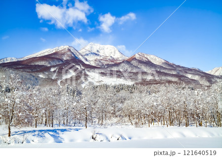 冬の晴れた日の妙高高原いもり池から見た妙高山  (妙高市) 121640519