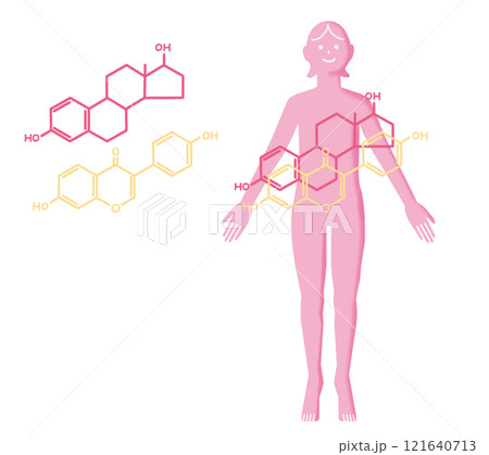 女性と大豆イソフラボンとエストロゲン 女性と大豆イソフラボンとエストロゲン 121640713