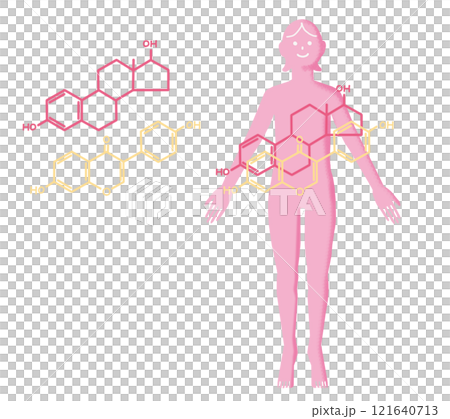 女性と大豆イソフラボンとエストロゲン 女性と大豆イソフラボンとエストロゲン 121640713