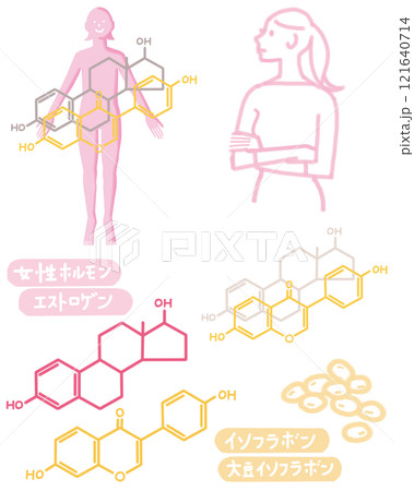 女性と大豆イソフラボンとエストロゲン2 女性と大豆イソフラボンとエストロゲン2 121640714