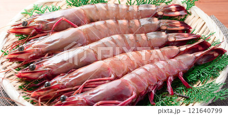 【エビ科最大級のサイズ】 シータイガー 天然ならではの締まった身質と風味、濃厚な旨味が特徴 【エビ科最大級のサイズ】 シータイガー 天然ならではの締まった身質と風味、濃厚な旨味が特徴 121640799