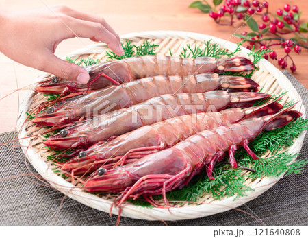 【エビ科最大級のサイズ】 シータイガー 天然ならではの締まった身質と風味、濃厚な旨味が特徴 121640808