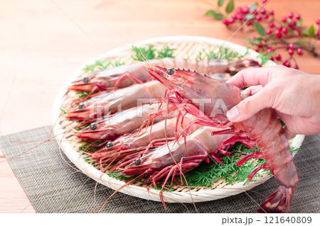 【エビ科最大級のサイズ】 シータイガー 天然ならではの締まった身質と風味、濃厚な旨味が特徴 【エビ科最大級のサイズ】 シータイガー 天然ならではの締まった身質と風味、濃厚な旨味が特徴 121640809