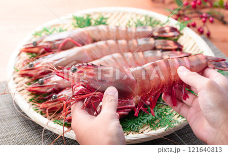 【エビ科最大級のサイズ】 シータイガー 天然ならではの締まった身質と風味、濃厚な旨味が特徴 121640813