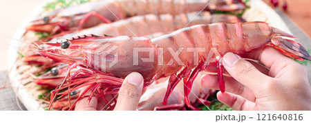 【エビ科最大級のサイズ】 シータイガー 天然ならではの締まった身質と風味、濃厚な旨味が特徴 【エビ科最大級のサイズ】 シータイガー 天然ならではの締まった身質と風味、濃厚な旨味が特徴 121640816