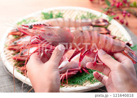 【エビ科最大級のサイズ】 シータイガー 天然ならではの締まった身質と風味、濃厚な旨味が特徴 【エビ科最大級のサイズ】 シータイガー 天然ならではの締まった身質と風味、濃厚な旨味が特徴 121640818