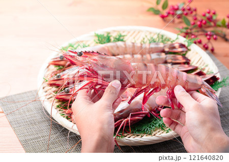 【エビ科最大級のサイズ】 シータイガー 天然ならではの締まった身質と風味、濃厚な旨味が特徴 121640820