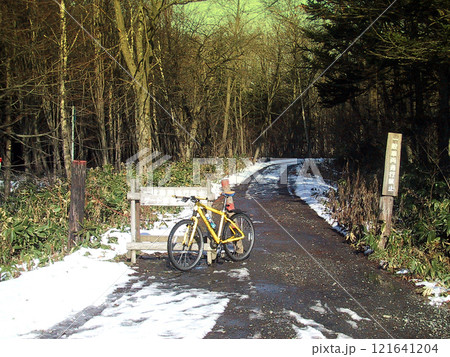 黄色いマウンテンバイクで野幌森林公園をサイクリング 黄色いマウンテンバイクで野幌森林公園をサイクリング 121641204