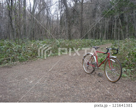 初夏の野幌森林公園をランドナーでサイクリング 121641381