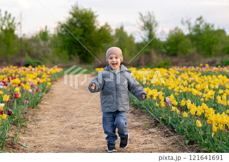 Happy three year old toddler boy runs in a tulip field on a sunny spring day. Childhood and nature concept Happy three year old toddler boy runs in a tulip field on a sunny spring day. Childhood and nature concept 121641691
