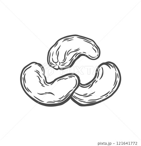Set of cashew nuts in engraving style Set of cashew nuts in engraving style 121641772