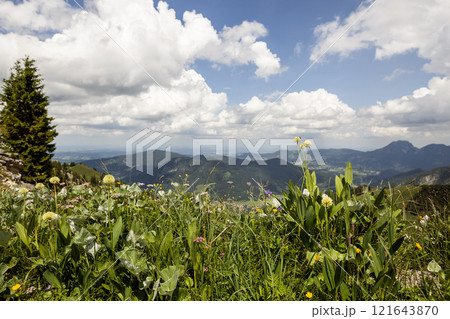 Mountain hiking at Brecherspitze mountain, Bavaria, Germany in summertime 121643870