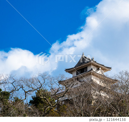 師走の丸亀城天守 121644138