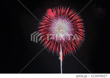 古都ひろさき花火の集い 尺玉 八重芯変化菊 古都ひろさき花火の集い 尺玉 八重芯変化菊 121644627