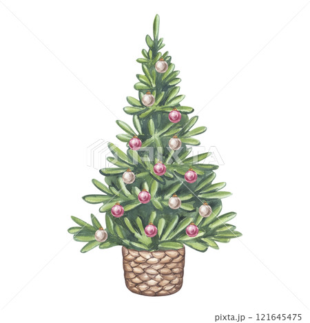 Christmas Tree with holiday decoration in vine woven basket. Evergreen pine, spruce, fir, larch. Hand drawn watercolor illustration isolated on white background. For Xmas holiday, New Year postcard Christmas Tree with holiday decoration in vine woven basket. Evergreen pine, spruce, fir, larch. Hand drawn watercolor illustration isolated on white background. For Xmas holiday, New Year postcard 121645475