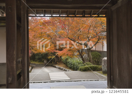 最勝院高徳庵の本堂から望む紅葉が美しい参道3 最勝院高徳庵の本堂から望む紅葉が美しい参道3 121645581