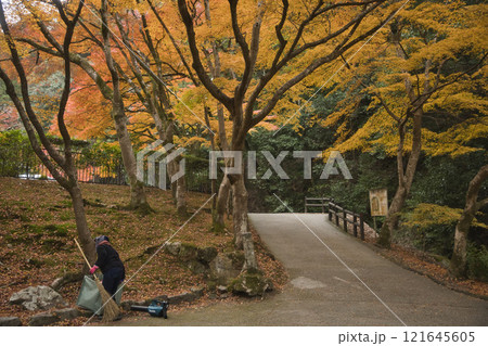 最勝院高徳庵の紅葉と落ち葉をかたずけるお姉さん3 121645605
