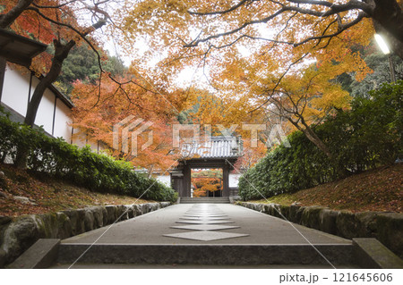 最勝院高徳庵の紅葉と美しい参道1 121645606