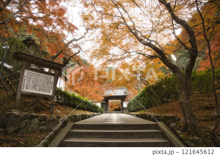 最勝院高徳庵の紅葉と美しい参道4 121645612