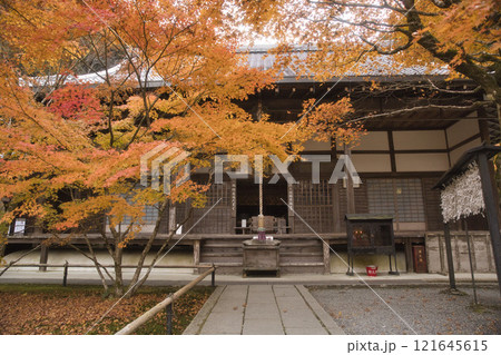 最勝院高徳庵の本堂と美しい紅葉1 最勝院高徳庵の本堂と美しい紅葉1 121645615
