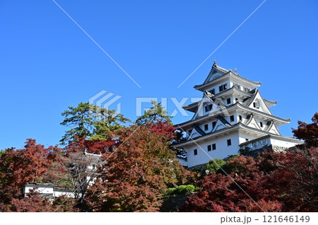 秋の紅葉と郡上八幡城 秋の紅葉と郡上八幡城 121646149