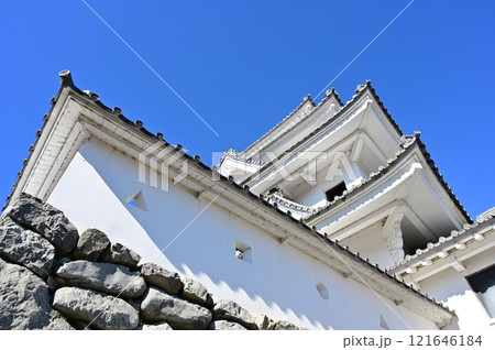 郡上八幡城 121646184