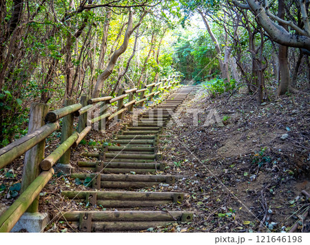 神島・監的哨跡から灯台までの階段(三重県鳥羽市) 神島・監的哨跡から灯台までの階段(三重県鳥羽市) 121646198