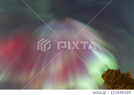 Northern Lights in Lapland Inari Nelli Lakes forest 121646309
