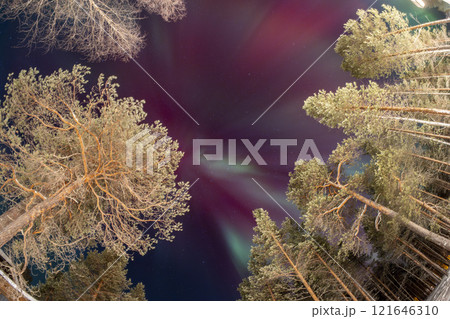 Northern Lights in Lapland Inari Nelli Lakes forest Northern Lights in Lapland Inari Nelli Lakes forest 121646310