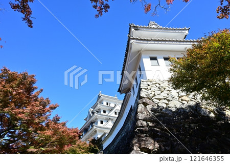 郡上八幡城の桜ノ丸隅櫓と天守閣　紅葉の風景 121646355